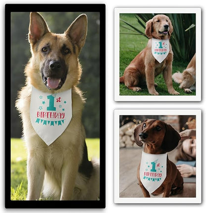 1st Birthday Dog Bandana 1 Year Old Gifts