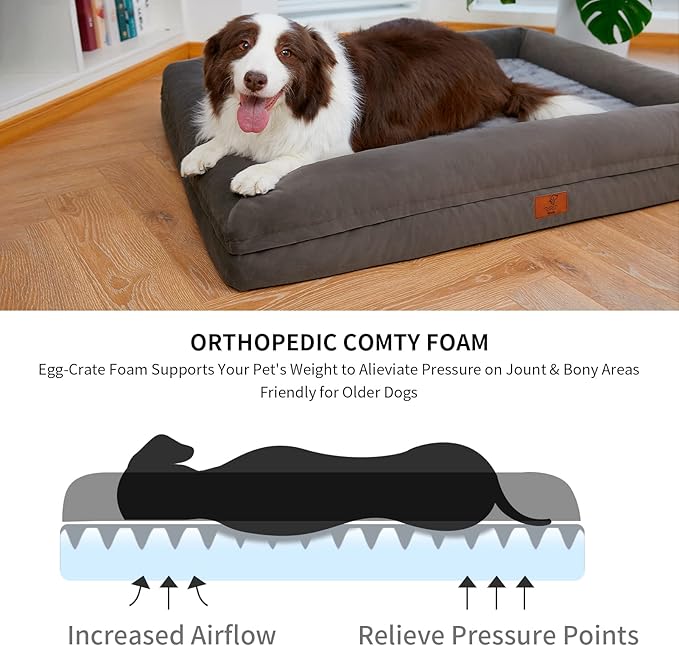 Dog Beds for Extra Large Dogs