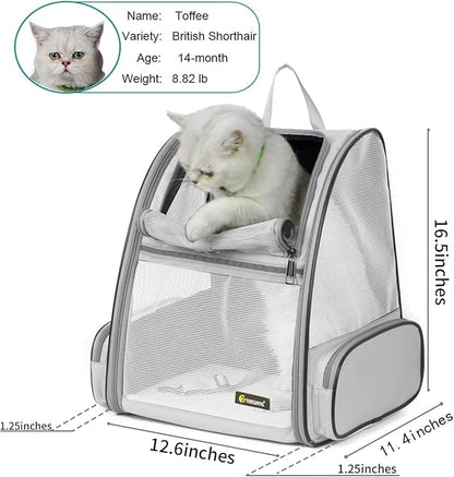 Texsens Pet Backpack Carrier for Small Cats Dogs | Ventilated Design, Safety Straps, Buckle Support, Collapsible | Designed for Travel, Hiking & Outdoor Use (Light Gray)