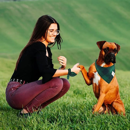 E-Clover Dog Bandanas Boy & Matching Scrunchie Set