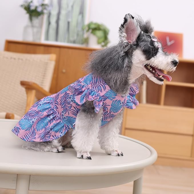 CuteBone Dog Dress Princess Puppy Birthday Dresses FX06M