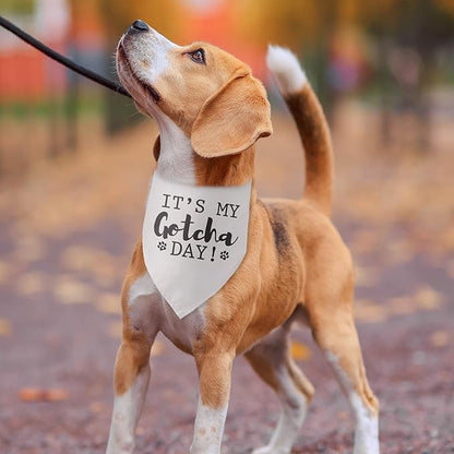 It’s My Gotcha Day Dog Bandana Dog Gotcha