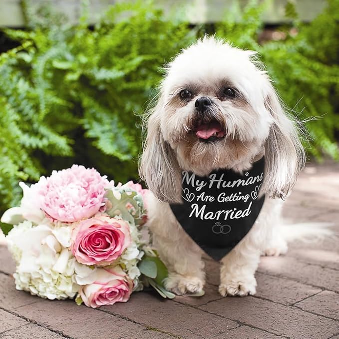 SZEE Wedding Dog Bandanas, My Humans are Getting Married Dog Bandanas for Dogs, Dog Engagement Wedding Party, Pet Wedding Photo Prop Bandana for Engagement, Gifts for Couples (White & Black, Small)