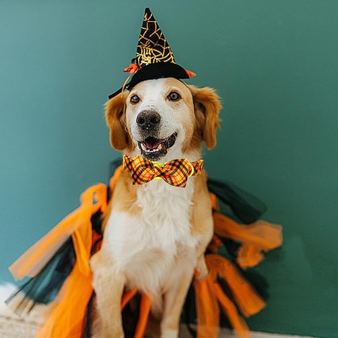 Elegant little tail Fall Dog Collar