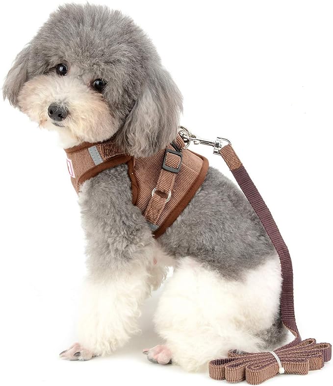 Zunea Small Dog Harness and Leash Set No