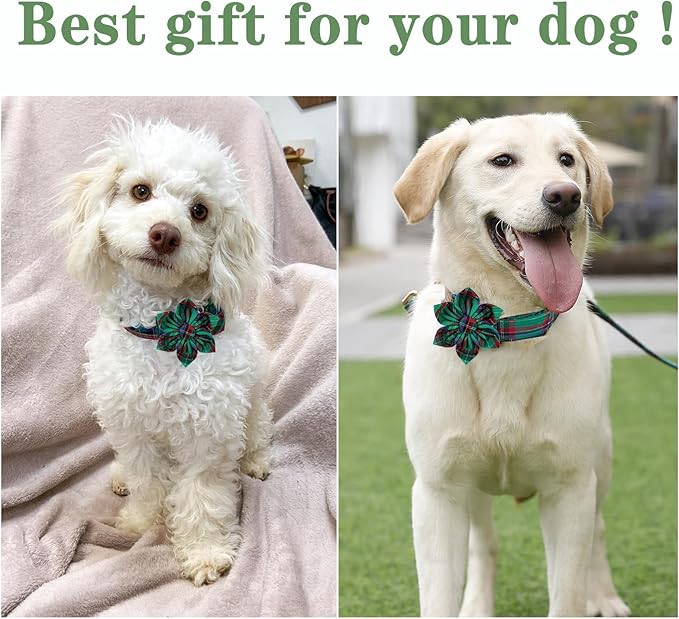 Unique style paws Dog Collar with Flower Tie