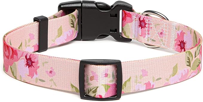 Adjustable Dog Collar with Patterns