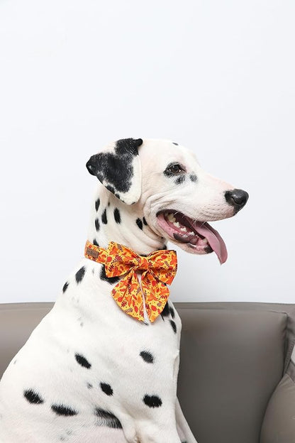 Lionet Paws Dog Collar with Bowtie 16-24in