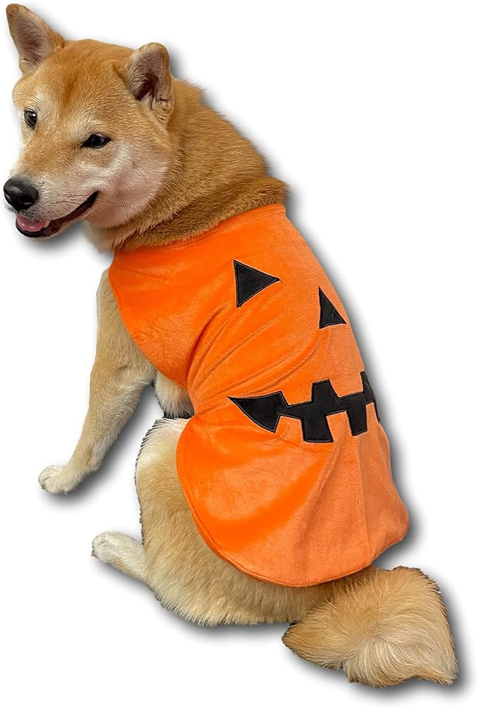 ComfyCamper Pumpkin Dog Costume - X Large Medium Small Shepherd French Lab Retrieve Pet Cosplay Halloween Costumes (Medium)