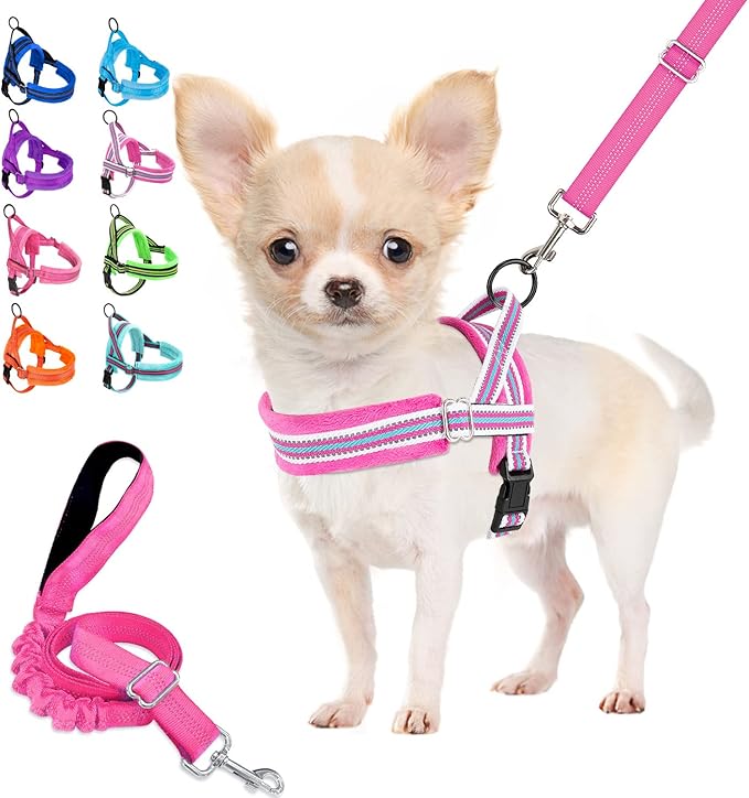 Lukovee Dog Harness and Leash Set, Soft Padded Small Dog Harness, Neck & Chest Adjustable Reflective Vest Puppy Harness with 4ft Lightweight Anti-Twist Dog Leash for Small Dogs (XX-Small, Fuschia)