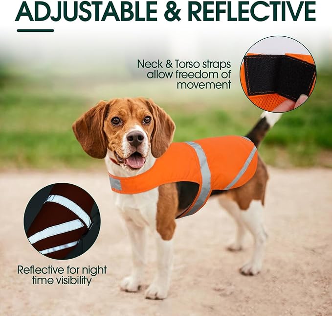 Kuoser Reflective Dog Vest, High Visibility Dog Safety Vest for Medium Large Dogs, Pet Reflective Jacket Orange Dog Vest to Keep Your Dog in Sight and Safe from Hunting, Training, Cars Accidents, M