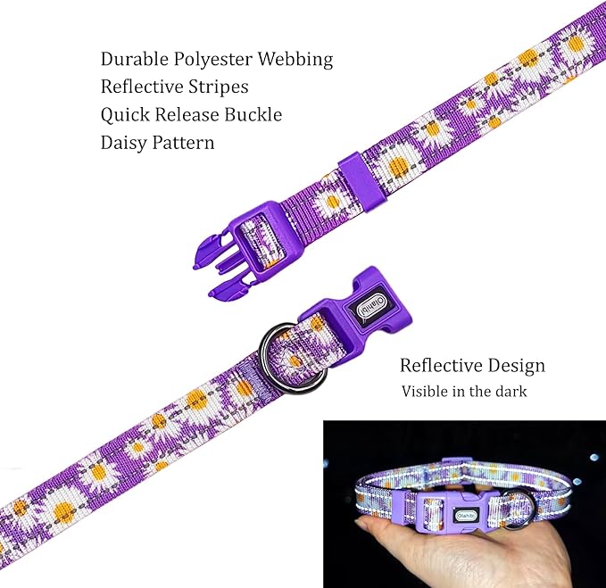 Floral Pattern Dog Collar