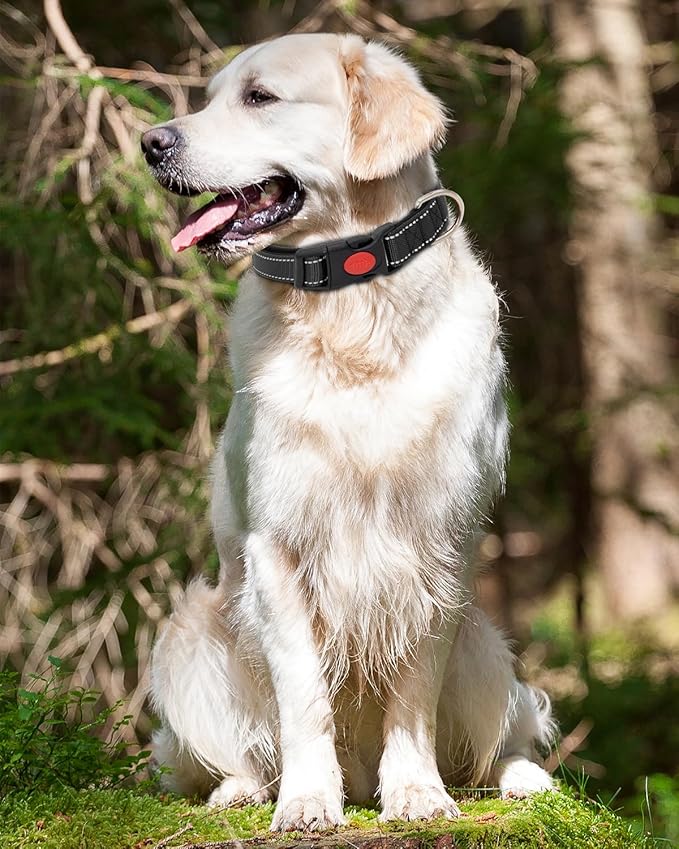 Reflective Dog Collar