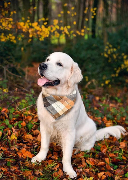 Bubblepup Plaid Dog Bandana 1PC Square