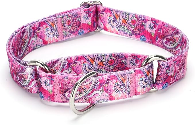 Martingale Dog Collars - Flower Multicolor Cute Patterns, Adjustable Nylon Training Dog Collar Suitable for Boy and Girl Dogs Medium Large Dogs (L, Pink)