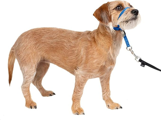 PetSafe Gentle Leader No-Pull Dog Headcollar