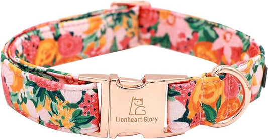 Lionheart glory Premium Floral Dog Collars Spring Dog Collar