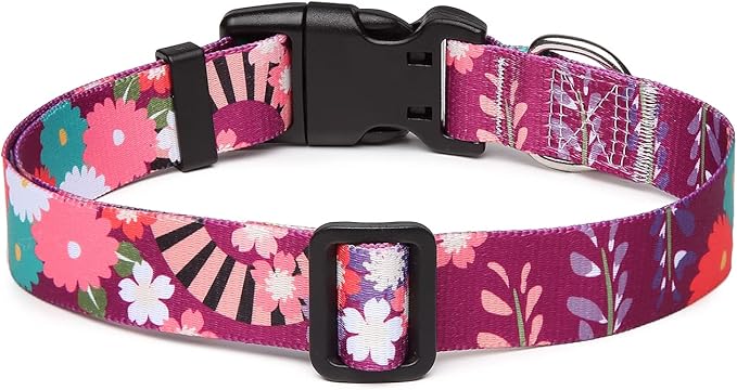 Adjustable Dog Collar with Patterns