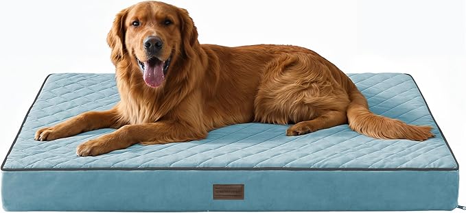 SunStyle Home Orthopedic Dog Beds for XX-Large Dogs