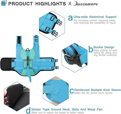 Queenmore Shark Dog Life Jacket