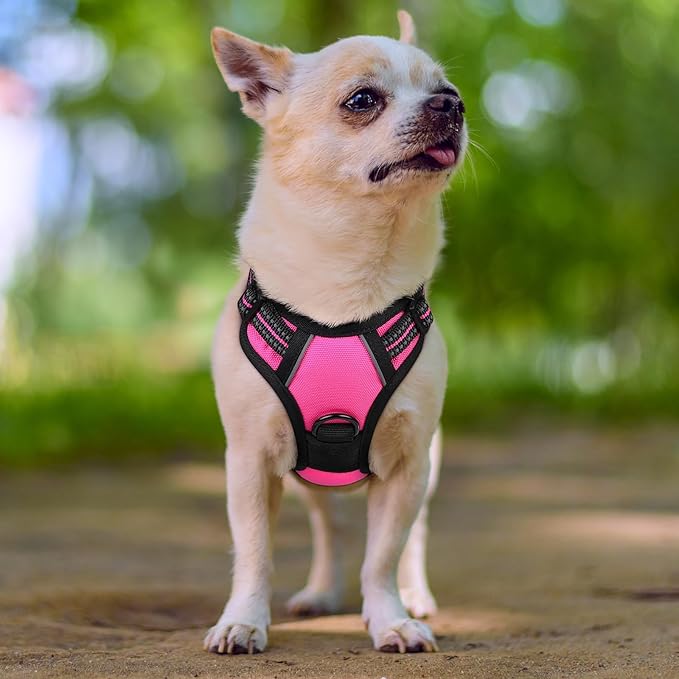 rabbitgoo Dog Harness, No-Pull Pet Harness with 2 Leash Clips, Adjustable Soft Padded Dog Vest, Reflective No-Choke Pet Oxford Vest with Easy Control Handle for Small Dogs, Hot Pink, XS