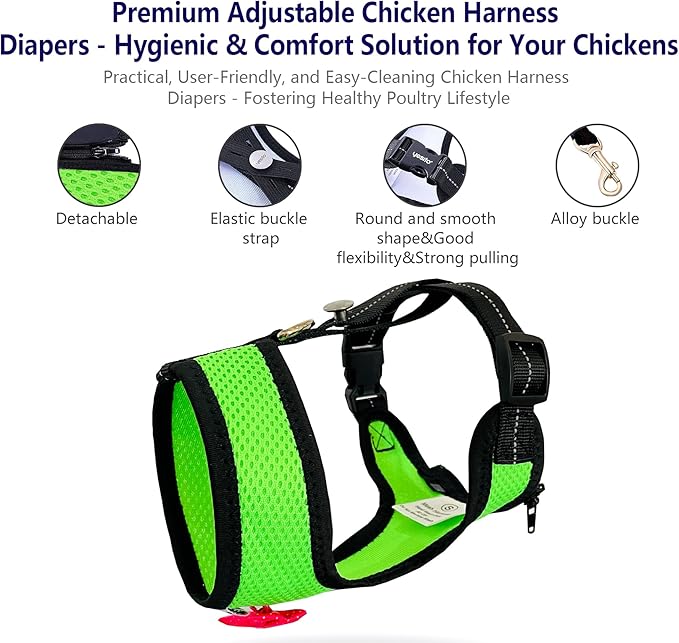 Chicken Harness Hen size With 6-foot Matching belt - Adjustable, elastic, Comfortable, Breathable, Large Size Suitable for Chicken, Duck or Goose Suitable for Weight about 4.9-6.8 Pounds, Green