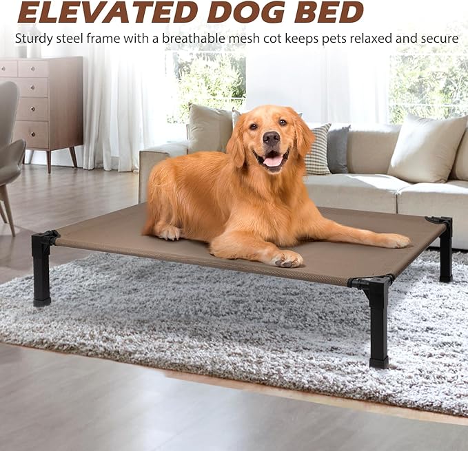 Cooling Elevated Dog Bed