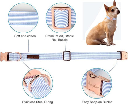 Unique style paws Dog Collar Metal Buckle Collar