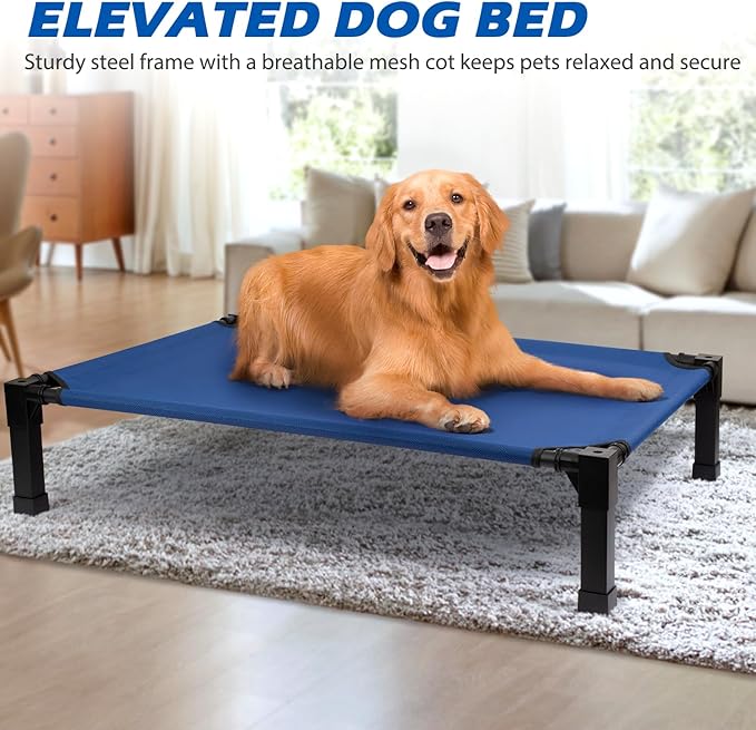 Cooling Elevated Dog Bed