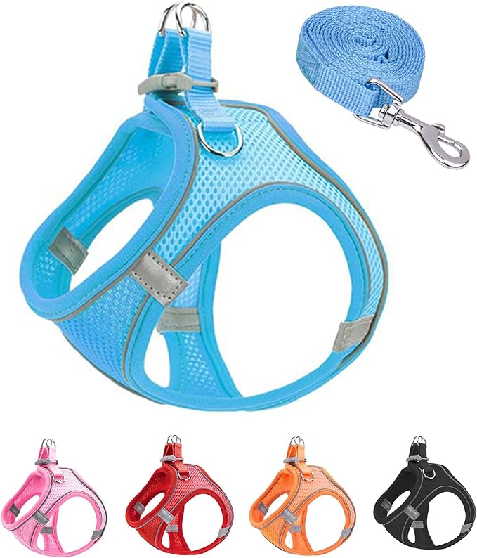 XXXS Blue Soft Mesh Dog Harness and Leash Set,No Escape Easy Walk Puppy Harnesses for Training Walking， Reflective Adjustable Puppy Vest for Small Medium Dogs, Cats (Blue, XXXS)