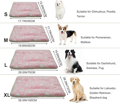 Cat Dog Bed Mat & Blanket