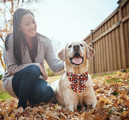 DOGWONG Fall Dog Collar with Bowtie