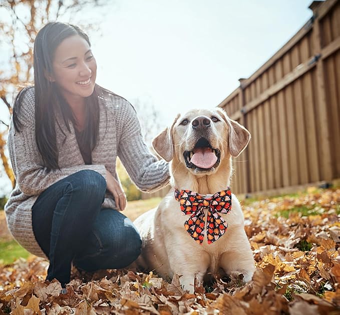 DOGWONG Fall Dog Collar with Bowtie