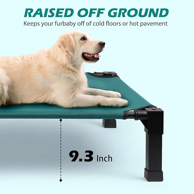 Cooling Elevated Dog Bed
