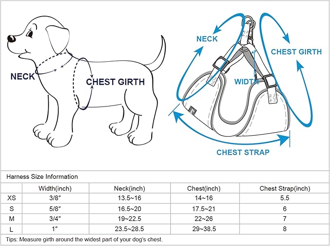 Blueberry Pet Essentials Pastel Color Reflective Matching Dog Harness Vest and Leash Set in Navy, Adjustable Harness with 4 ft Leash for Large Dogs