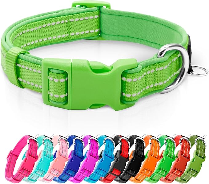 azuza Reflective Dog Collar