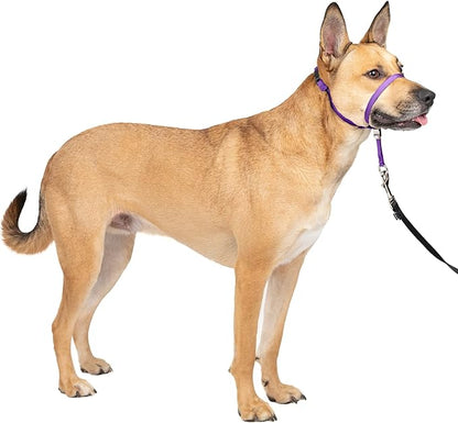 PetSafe Gentle Leader No-Pull Dog Headcollar