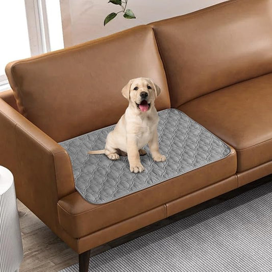 RBSC Home Waterproof Sofa Cover Dog Bed Cover