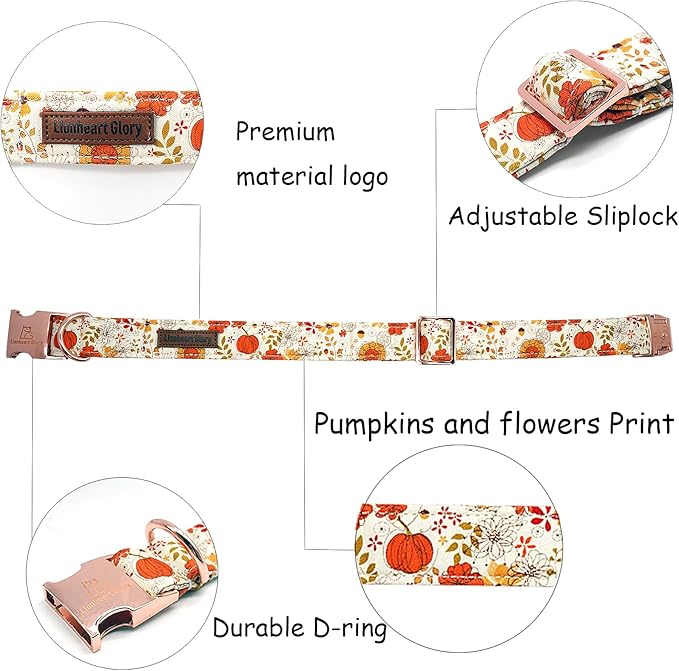 Lionheart glory Dog Collar Halloween Collar Dog Fall Dog Collars