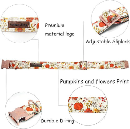 Lionheart glory Dog Collar Halloween Collar Dog Fall Dog Collars