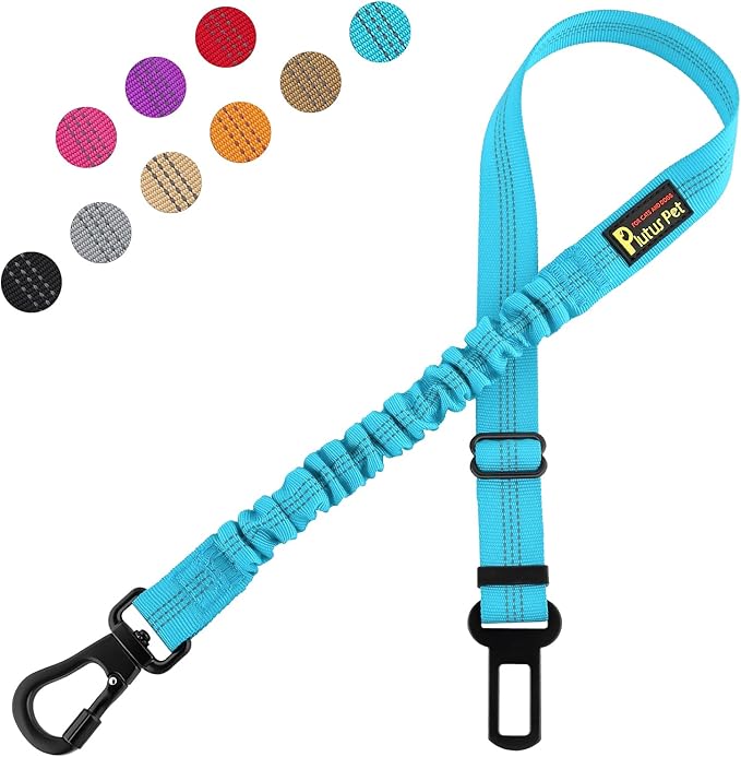 Plutus Pet Dog Seat Belt for Car, Adjustable Dog Car Harness with Carabiner Clip, Reflective Safety Dog Seatbelt Leash with Elastic Bungee, Cyan