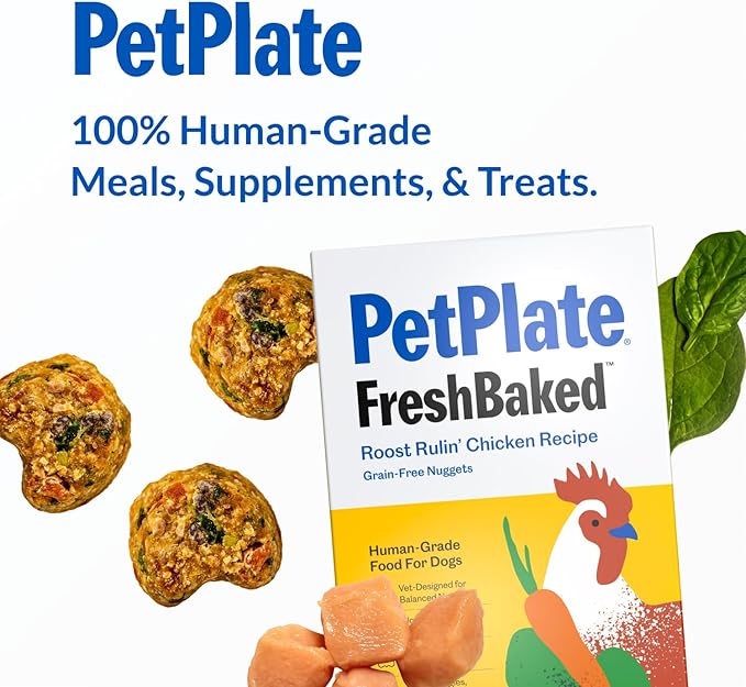 PetPlate FreshBaked Dry Dog Food, Gently Baked and Air-Dried Human Grade Dog Food, Vet Designed and Formulated with Prebiotics and Postbiotics, Grain Free, No Fillers or by-Products 2lbs (Chicken)