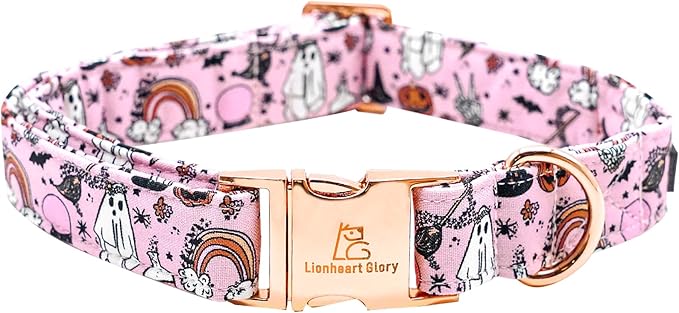 Lionheart glory Dog Collars Fall Halloween Pumpkin Collar