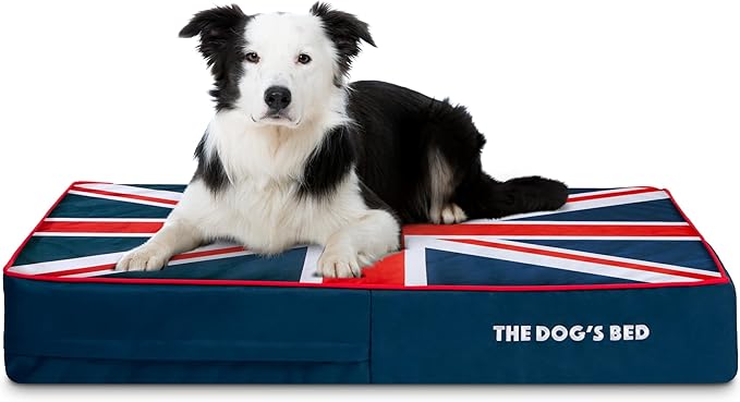 The Dog’s Bed Orthopedic Memory Foam Dog Bed 40x25, Pain