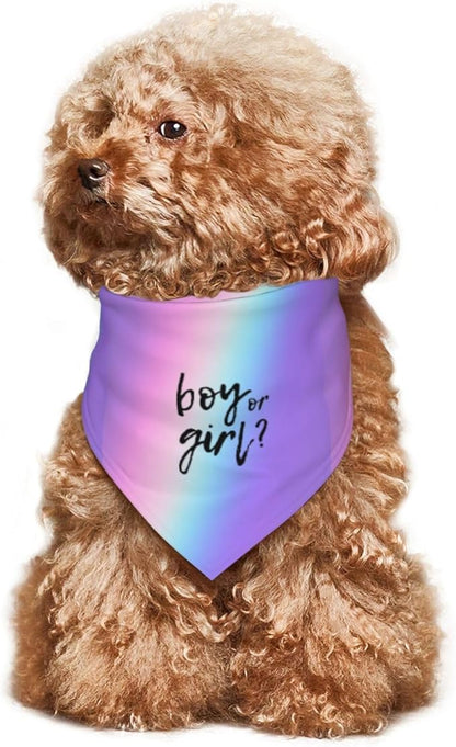 He Or She What Will It Be? Gender Reveal/Baby Announcement Dog Bandana,Pet Neckerchief for Pets Daily Wear Photo Prop Party Supplies (Colorful)