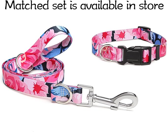 Adjustable Dog Collar with Patterns