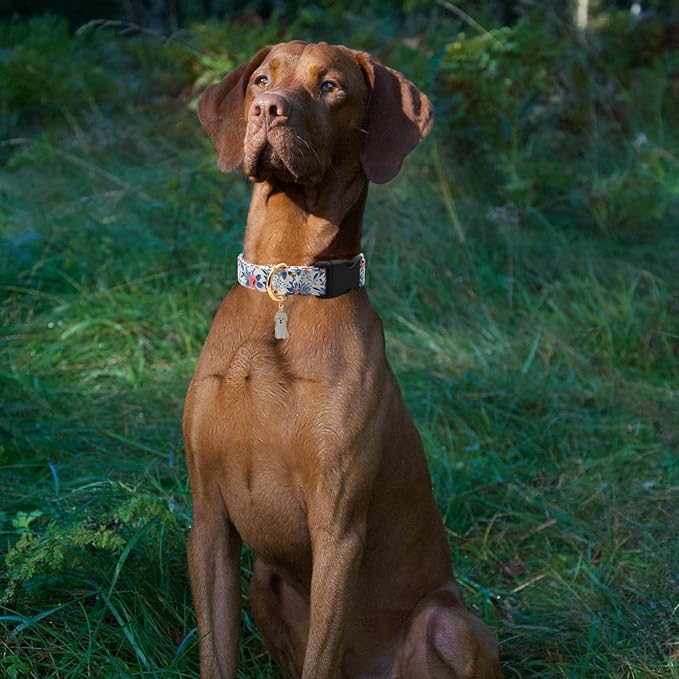 Flower Patterns Dog Collar with Accessories