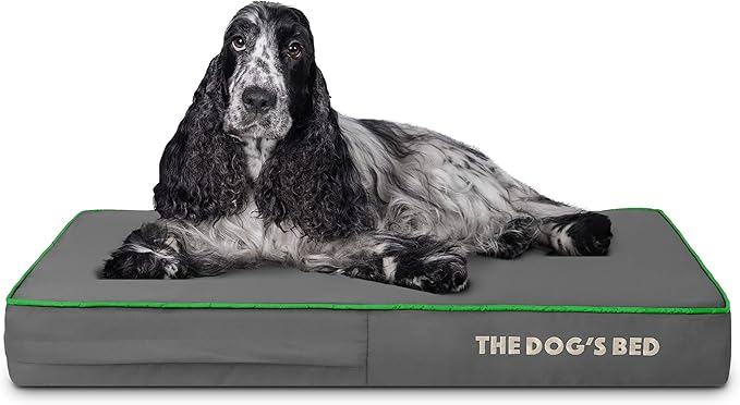 The Dog’s Bed Orthopedic Memory Foam Dog Bed 34x22, Pain