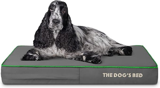 The Dog’s Bed Orthopedic Memory Foam Dog Bed 34x22, Pain