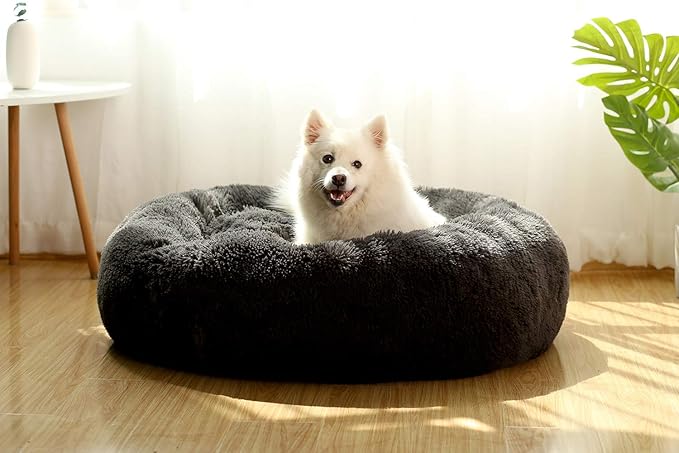 Donut Dog Beds for Medium Dogs